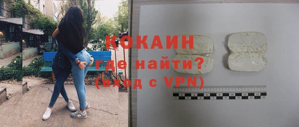 эйфоретик Няндома