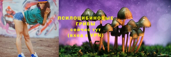 первитин Беломорск