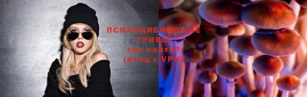 спиды Белокуриха