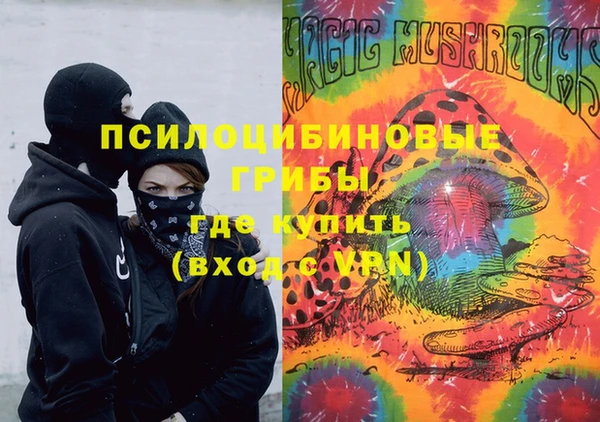 спиды Белокуриха